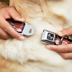 Dog Bone Seatbelt Buckle Collar - Bacon