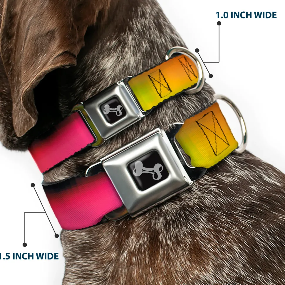 Dog Bone Seatbelt Buckle Collar - BD Psychedelic