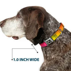 Dog Bone Seatbelt Buckle Collar - BD Psychedelic
