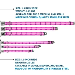 Dog Bone Seatbelt Buckle Collar - Anchor/Stripe Pinks/Purple