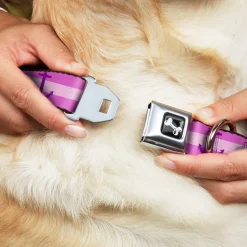 Dog Bone Seatbelt Buckle Collar - Anchor/Stripe Pinks/Purple