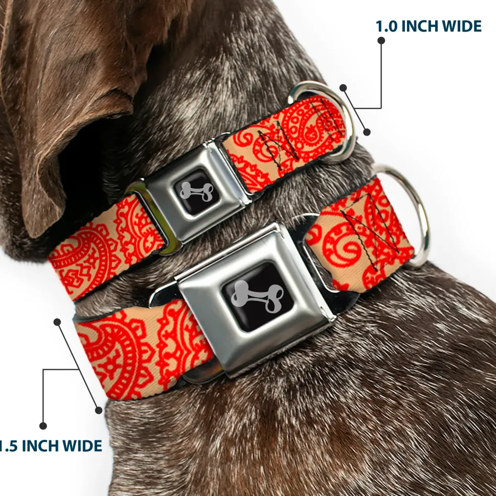 Dog Bone Seatbelt Buckle Collar - Bandana/Skulls Gold/Scarlet Red