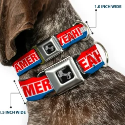 Dog Bone Seatbelt Buckle Collar - AMERICA, FUCK YEA Red/White/Blue