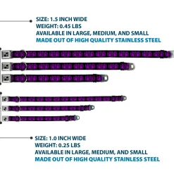 Dog Bone Seatbelt Buckle Collar - BD Skulls w/Wings Black/Purple