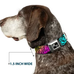 Dog Bone Seatbelt Buckle Collar - Animal Skins Rainbow/Black