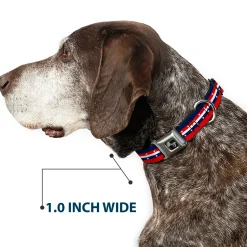 Dog Bone Seatbelt Buckle Collar - Americana Stripe w/Stars Blue/Red/White