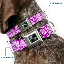 Dog Bone Seatbelt Buckle Collar - Bandana/Skulls Purple/White