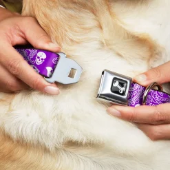 Dog Bone Seatbelt Buckle Collar - Bandana/Skulls Purple/White