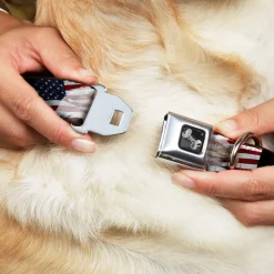 Dog Bone Seatbelt Buckle Collar - American Eagle Flags