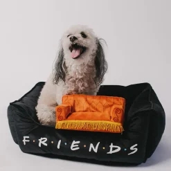 Dog Toy Squeaker Plush - Friends Central Perk Couch