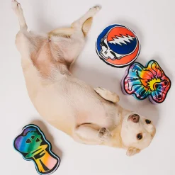 Dog Toy Squeaker Plush - Grateful Dead Steal Your Face Skull + GOOD OL GRATEFUL DEAD
