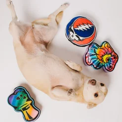 Dog Toy Squeaker Plush - Grateful Dead Dancing Bear Tie Dye Multi Color