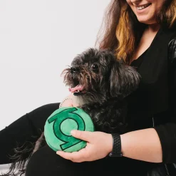 Dog Toy Squeaker Plush - Green Lantern Logo Round
