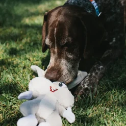 Dog Toy Squeaker Plush - Looney Tunes Bugs Bunny Full Body