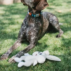 Dog Toy Squeaker Plush - Looney Tunes Bugs Bunny Full Body
