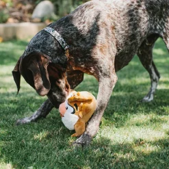 Dog Toy Squeaker Plush - Looney Tunes Taz Full Body