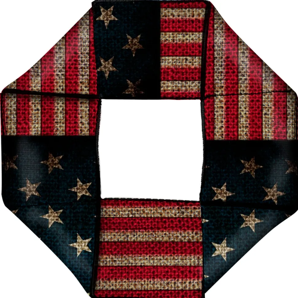 Dog Toy Squeaky Octagon Flyer - Vintage US Flag Stretch