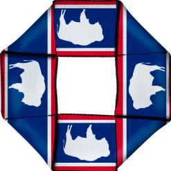 Dog Toy Squeaky Octagon Flyer - Wyoming Flags Bison Silhouette