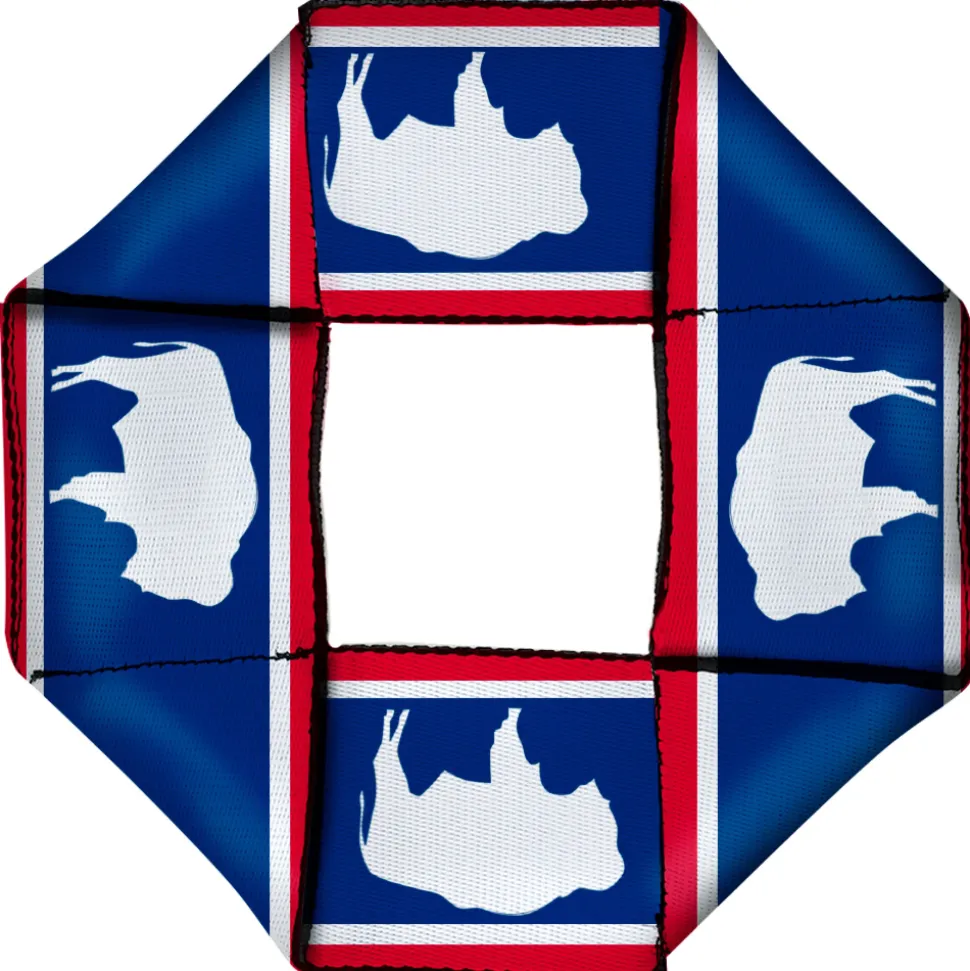 Dog Toy Squeaky Octagon Flyer - Wyoming Flags Bison Silhouette