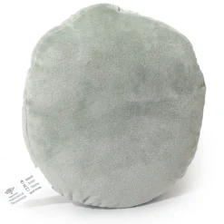 Dog Toy Squeaky Plush - Looney Tunes Taz Growling Face