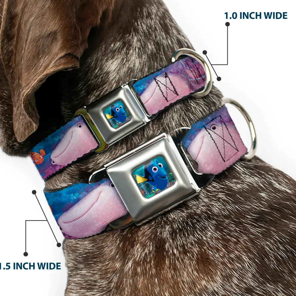 Dory Pose Seatbelt Buckle Collar - Dory & 5-Friends Under the Sea