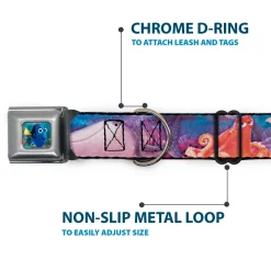 Dory Pose Seatbelt Buckle Collar - Dory & 5-Friends Under the Sea