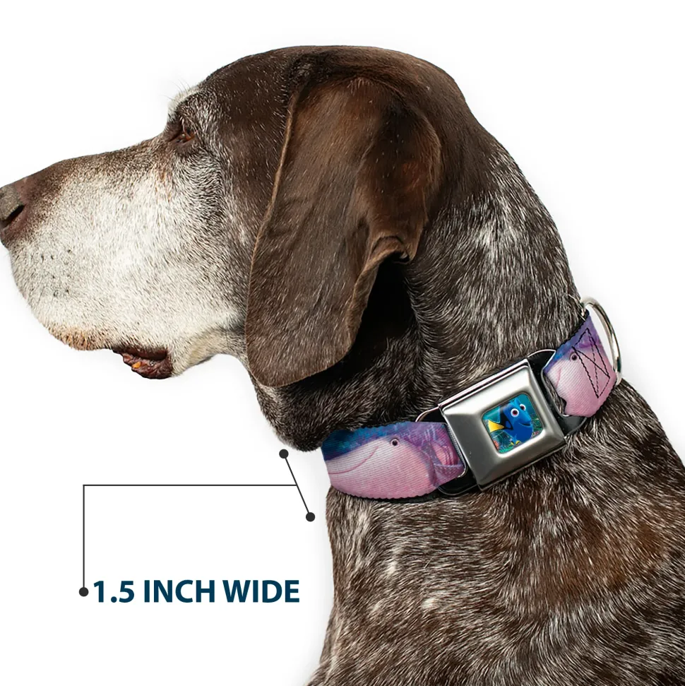 Dory Pose Seatbelt Buckle Collar - Dory & 5-Friends Under the Sea