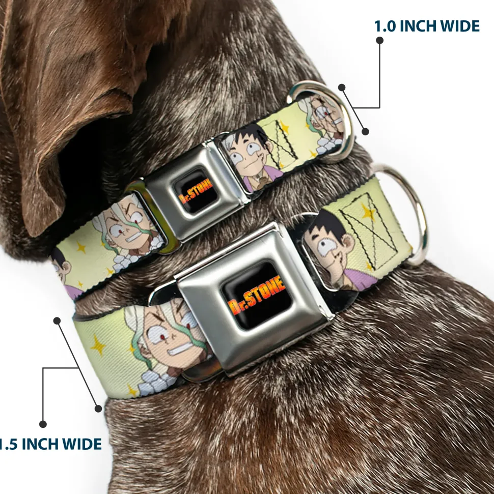 DR. STONE Title Logo Full Color Black/Orange Seatbelt Buckle Collar - Dr. Stone Chibi Senku and Gen Faces Stars Yellows