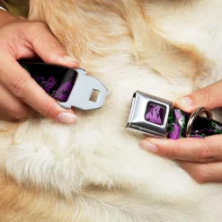 Dragon Maleficent Full Color Black Purple Seatbelt Buckle Collar - Maleficent & Diablo Black Roses/Purples