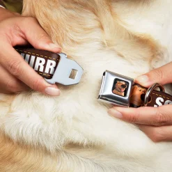 Dug Tongue Out Pose Full Color Black Seatbelt Buckle Collar - Dug 3-Poses/SQUIRREL! Brown/Yellow/White