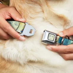 Evil Queen Face CLOSE-UP Full Color Seatbelt Buckle Collar - Snow White/Dwarves/Old Witch/Evil Queen Scenes