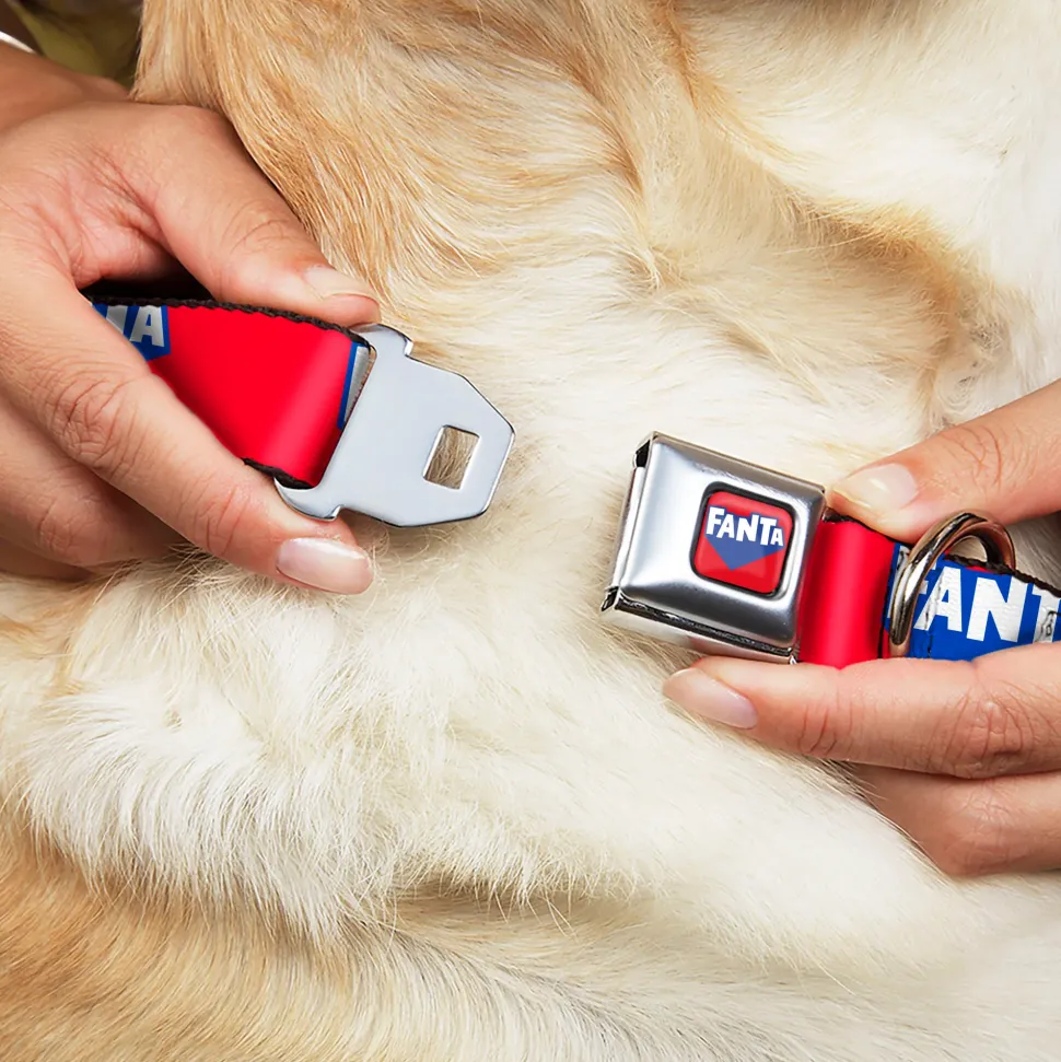 FANTA Logo Full Color Strawberry Red/Blue/White Seatbelt Buckle Collar - FANTA Logo Strawberry Red/Blue/White