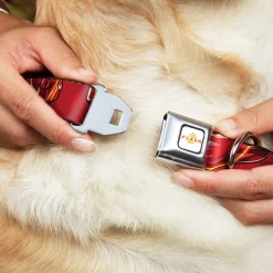 Flash 2023 Title Logo Full Color White/Yellow/Red Seatbelt Buckle Collar - The Flash 2023 2-Poses Close-Up Reds