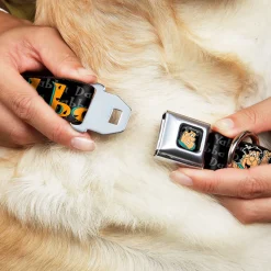 Fred Face Full Color Black Seatbelt Buckle Collar - Fred Face/Pose YABBA DABBA DOO Black/Gray/Orange