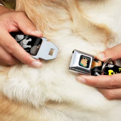 Fred Face Full Color Black Seatbelt Buckle Collar - Dog Collar FSE-Fred Face Full Color Black - THE FLINTSTONES Fred Bowling Poses/Bowling Pins Black