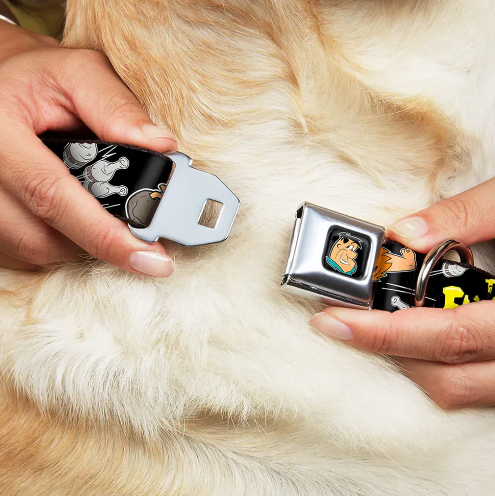 Fred Face Full Color Black Seatbelt Buckle Collar - Dog Collar FSE-Fred Face Full Color Black - THE FLINTSTONES Fred Bowling Poses/Bowling Pins Black