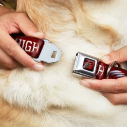 Freddy's Blade Hand Full Color Black/Blood Splatter Seatbelt Buckle Collar - A NIGHTMARE ON ELM STREET/SPRINGWOOD Freddy Pose Black/Red/White