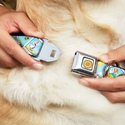 Frozen Sun Full Color Blue/Yellows Seatbelt Buckle Collar - Olaf Summertime Snapshots