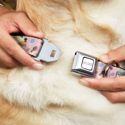 FRUITS BASKET Title Logo Full Color White/Purple Seatbelt Buckle Collar - Fruits Basket Kyo and Yuki Easter Themed Animage Poster Pose Pink