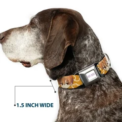 FRUITS BASKET Title Logo Full Color White/Purple Seatbelt Buckle Collar - Fruits Basket Chibi Kyo Soma Face and Kimono Cat Icon Orange/White