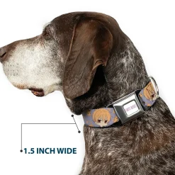 FRUITS BASKET Title Logo Full Color White/Purple Seatbelt Buckle Collar - Fruits Basket Chibi Kyo Soma and Cat Scattered Blue/Orange