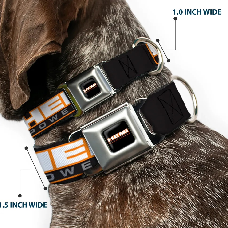 HEMI POWERED Logo Full Color Black/Orange/White/Gray Seatbelt Buckle Collar - HEMI POWERED Logo Repeat Black/Orange/White/Gray