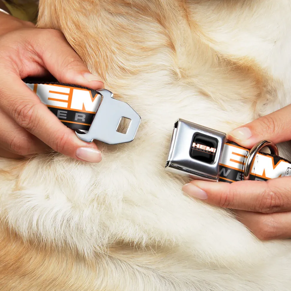 HEMI POWERED Logo Full Color Black/Orange/White/Gray Seatbelt Buckle Collar - HEMI POWERED Logo Repeat Black/Orange/White/Gray