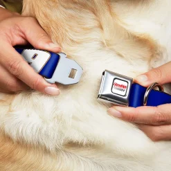 HENDRICK MOTORSPORTS Checker Logo Full Color Red/White Seatbelt Buckle Collar - Chase Elliott #9 Car Scheme Blue/Yellow/White