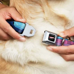 HOT WHEELS Classic Flame Logo Full Color Black/Red/White Seatbelt Buckle Collar - HOT WHEELS Logo and Four Cars Close-Up Black