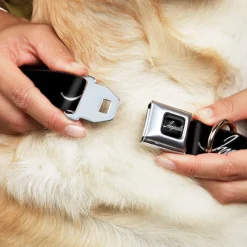 IMPALA Script Emblem Black/Silver Seatbelt Buckle Collar - IMPALA Script Emblem Black/Silver