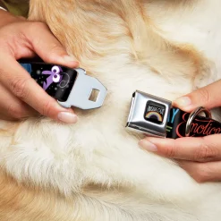 INSIDE OUT Rainbow Full Color Black/White/Multi Color Seatbelt Buckle Collar - INSIDE OUT/Emotion Expressions/EVERY DAY IS FULL OF EMOTIONS