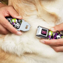 INVADER ZIM Title Logo Full Color Pink/Green Seatbelt Buckle Collar - Invader Zim GIR DOOM Pose Checker Black/Gray
