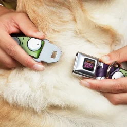 INVADER ZIM Title Logo Full Color Pink/Green Seatbelt Buckle Collar - Invader Zim GIR Poses and Sketch Purple