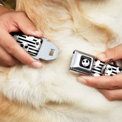 Jack Expression2 Full Color Seatbelt Buckle Collar - Jack Expressions/Stripe White/Black